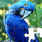 Jigsaw Puzzles icon