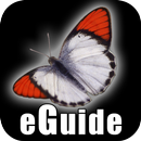 Butterfly eGuide APK