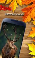 Real Animal Sounds – Loud Animals Noise Effects Screenshot 2