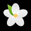 Jasmine: Floral Mindfulness icon