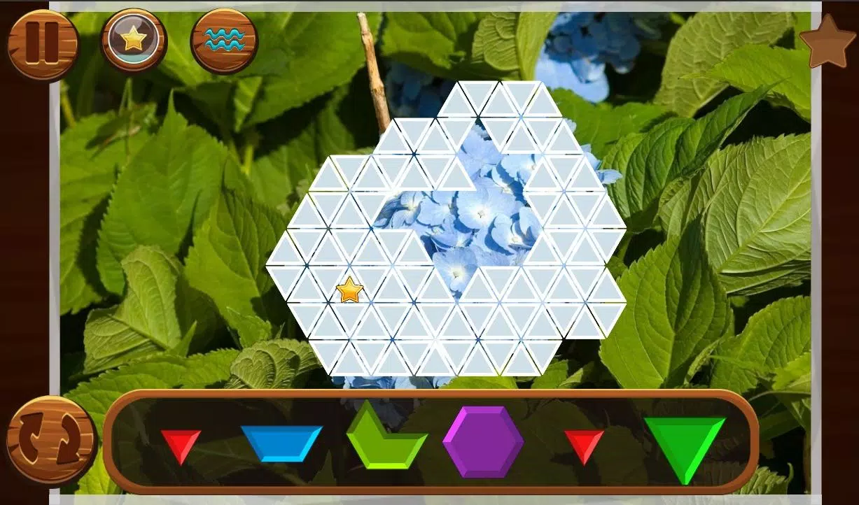 Puzzle Inlay Beautiful World APK for Android Download