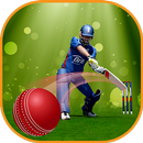 Indian Cricket: T20 Premier League APK
