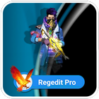 Regedit Pro Diamond FFH4X icône