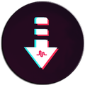 TikSave Video Downloader