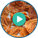 পিঠা রেসিপি - Pitha Recipe (ভিডিও)-APK