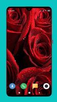 Red Wallpaper 截图 3