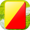 red yellow card