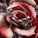Thème fleur rose rouge APK