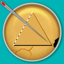 6 Games 6 Days: 456 Challenge APK