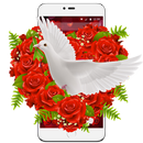Red Rose White Pigeon Theme APK