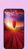 red heart wallpaper imagem de tela 2