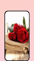 red rose image Ekran Görüntüsü 3