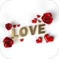 red rose love