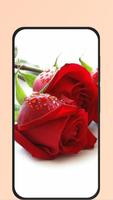 برنامه‌نما red rose pic عکس از صفحه