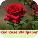 red rose wallpaper APK