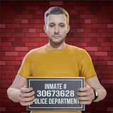 APK Thief Robbery Simulator - Master Plan