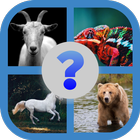 Animal Kingdom Quiz - With Scientific Names 2020 icono