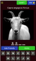 Animal Kingdom Quiz - With Scientific Names 2020 Affiche