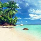 Des plages. Milieux de plage icône