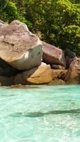 Des plages. Milieux de plage capture d'écran 3