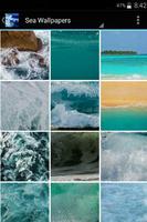 Deniz dipleri Ekran Görüntüsü 1