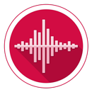 Voice Recorder APK