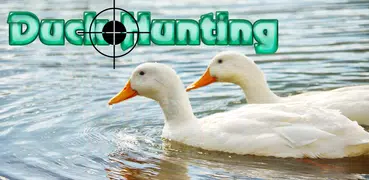 Duck Hunting