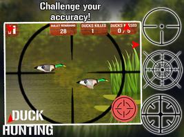 پوستر Duck Hunting