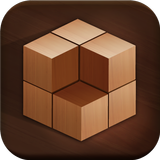 Woody Block Puzzle icon