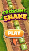 Crossing Snake poster