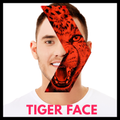 Red Tiger Face Photo Editor