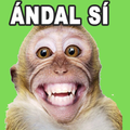 memes grasiosos