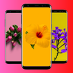 ramo de rosas icon