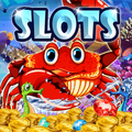 Dolphin Slots: Big fortune