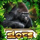 Super gorilla casino: machines à sous sauvages APK