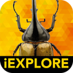 j'EXPLORE les insectes RA