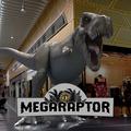 Megaraptor