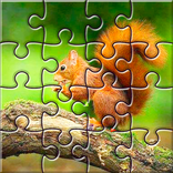 Photos Jigsaw Puzzle