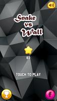 Snake Vs Wall পোস্টার