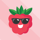 Icona raspberry VPN