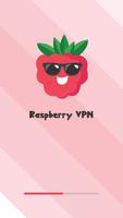 3 Schermata raspberry VPN
