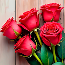 Roses Stickers for WhatsApp APK