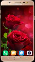 Red Rose Wallpaper syot layar 1