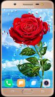 Red Rose Wallpaper syot layar 2