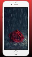 Red Rose Flower Wallpaper HD capture d'écran 2