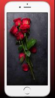 Red Rose Flower Wallpaper HD capture d'écran 3