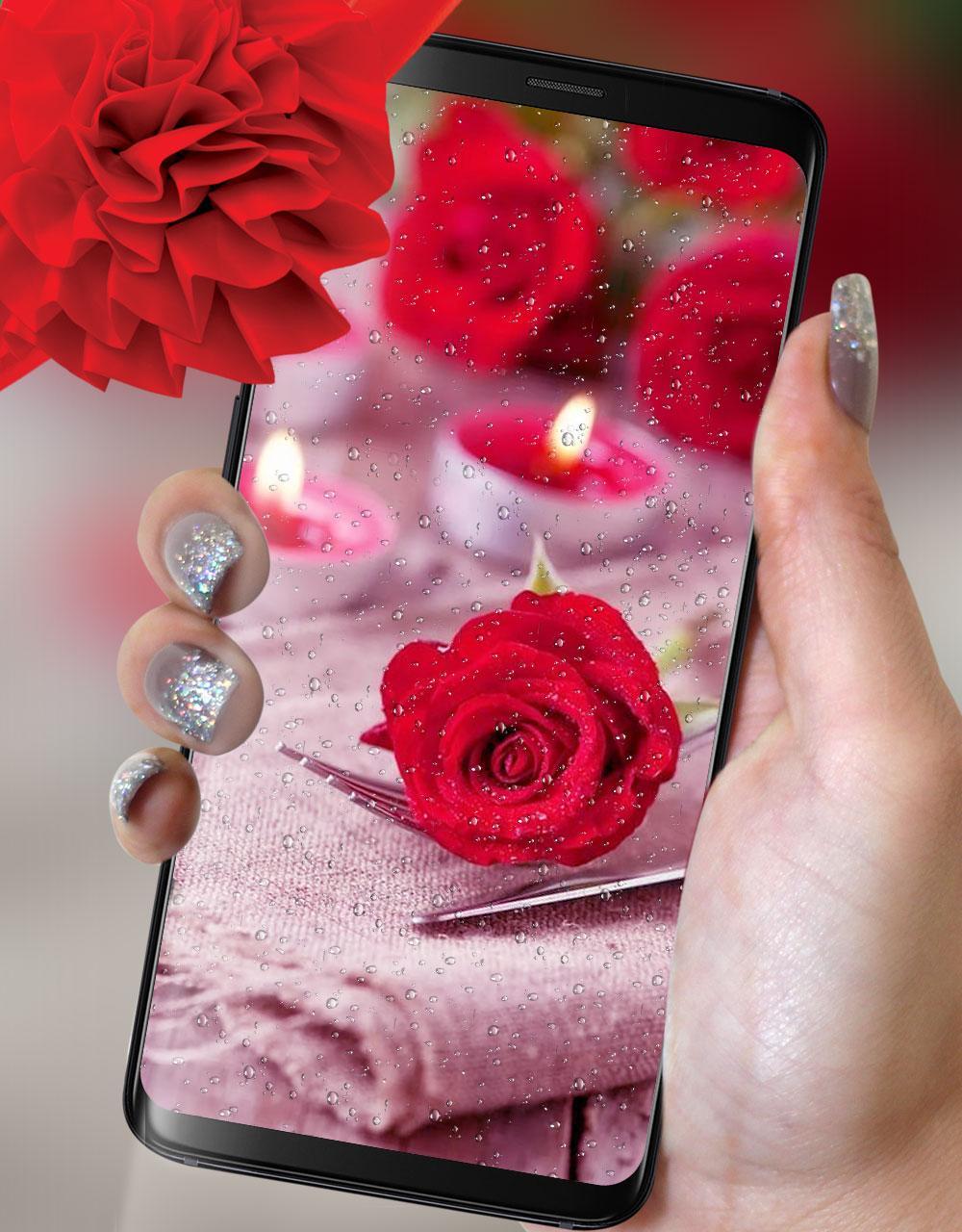 Fond Décran Animé Rose Rouge Fond 4k Rose Hd Pour Android