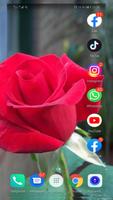Red rose wallpapers FULL HD screenshot 1