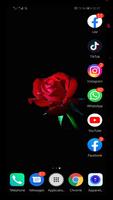 Red rose wallpapers FULL HD screenshot 3