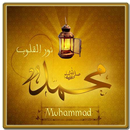 Muhammad姓名动态壁纸 APK